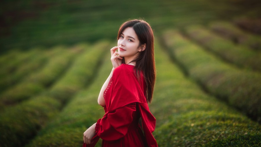 两个人的房间在线观看高清在线观看海报